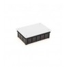 Caja plastica c/tapa 300x200x60 c/torn.