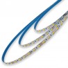 TIRA LED ROLLO 5 MTS  60Led/m 5050 IP20 4200K 24V