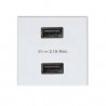 Cargador 2xusb 5v/dc 2,1a