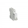 DPN MAGNETOTERMICO 1P+N 20A