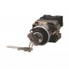 Selector metalico 22mm.maneta corta.2 po