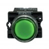 PULSADOR PLASTICO LUMINOSO CONEXION DIRECTA 220/240V 50/60HZ 1NO. VERDE Ø22MM
