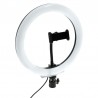 KIT ARO / ANILLO DE LUZ LED SELFIE 10 PULGADAS CCT