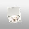 TECTO PLAFON BLANCO 1 X AR111 100W