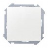 PLACA TAPA CIEGA BLANCO