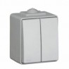 Interruptor doble gris