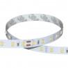Tiras led monocolor cri-80 24v