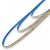 ROLLO TIRA LED 3000K 5M 60Led/m 5050 IP20 24V 11,20W/M