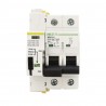 PROTECTOR DE SOBRETENSION C/ RECONEXION AUT.PERMANENTE INTELIGENTE + IGA 40A 10KA CURVA C