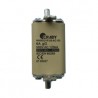 FUSIBLE AC-00 DE 40 A (01_PROTECCION ELE
