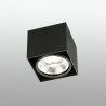 TECTO PLAFON NEGRO 1 X AR111 100W