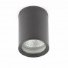 TASA PLAFON GRIS OSCURO 1L PAR30 75W
